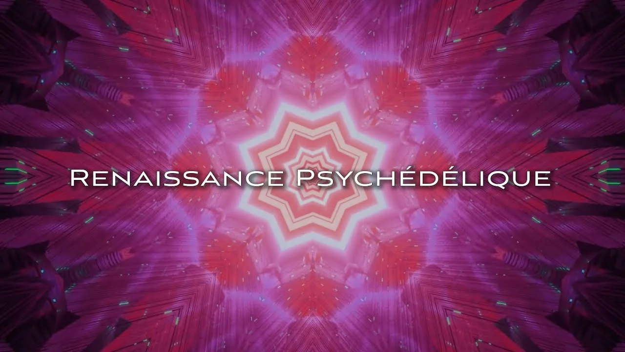 Renaissance Psychédélique : Science et Conscience, un documentaire réalisé par Nathan Stulmacher